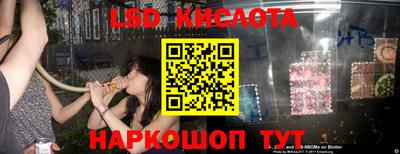 дмт Сланцы