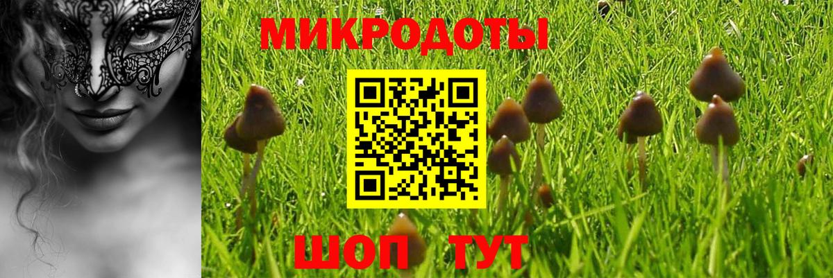 Псилоцибиновые грибы Psilocybine cubensis  Вход с VPN  продажа наркотиков  Псилоцибиновые грибы прущие грибы  Всеволожск 