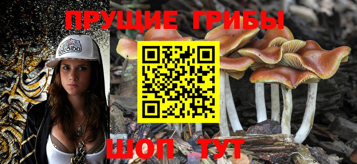 Галлюциногенные грибы GOLDEN TEACHER Всеволожск